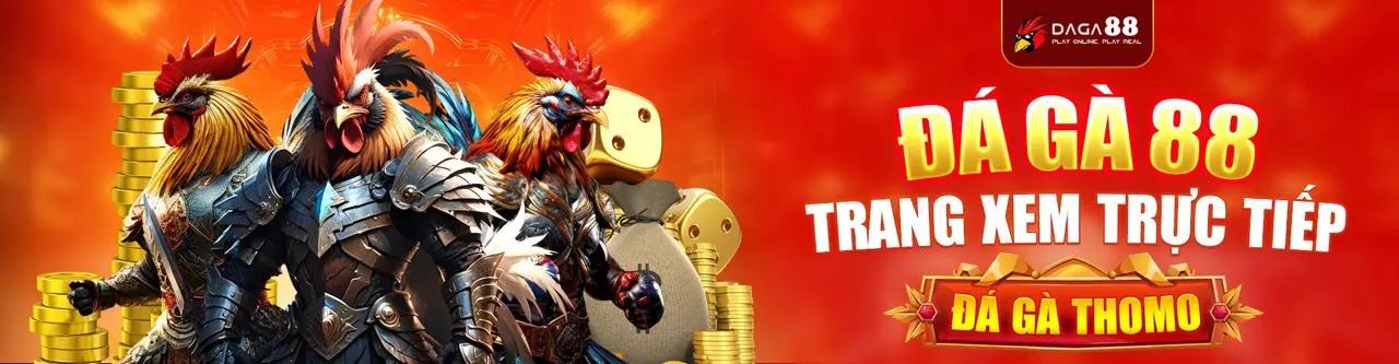 Đá Gà Trực Tiếp Thomo67 - Sân Đấu Kịch Tính